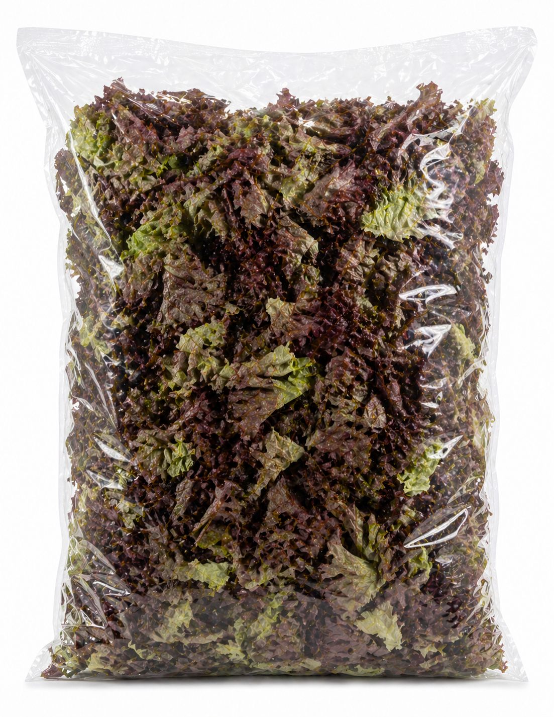 Alface roxa