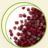 CBO 10